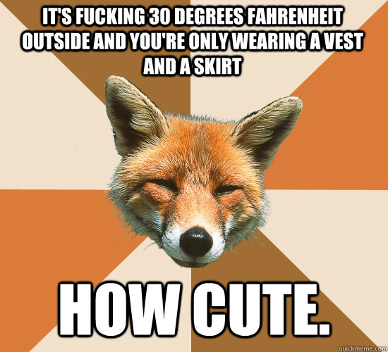 It's fucking 30 degrees Fahrenheit outside and you're only wearing a vest and a skirt how cute.   Condescending Fox