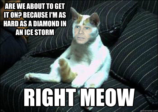 Are we about to get it on? Because I'm as hard as a diamond in an ice storm  right meow  