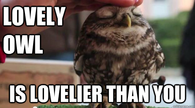 LOVELY OWL IS LOVELIER THAN YOU - LOVELY OWL IS LOVELIER THAN YOU  LOVELY OWL