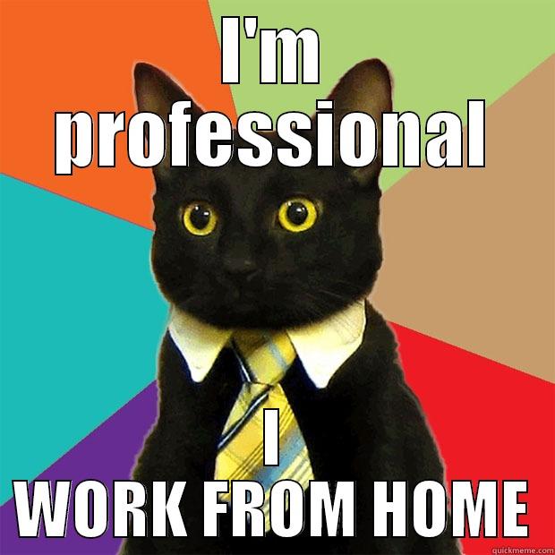 I'M PROFESSIONAL I WORK FROM HOME Business Cat