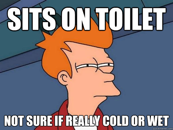 Sits on toilet Not sure if really cold or wet  Futurama Fry