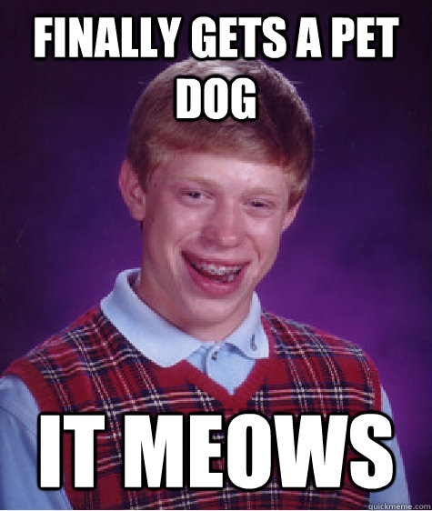 finally gets a pet dog it meows  Bad Luck Brian