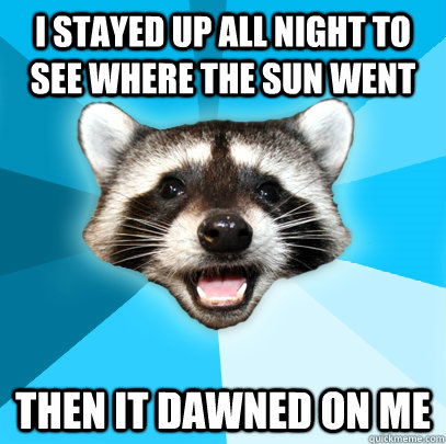 I STAYED UP ALL NIGHT TO SEE WHERE THE SUN WENT THEN IT DAWNED ON ME  Lame Pun Coon