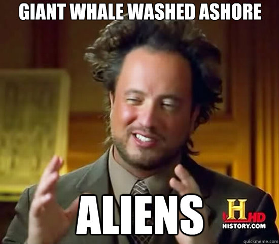 Giant whale washed ashore aliens - Giant whale washed ashore aliens  Ancient Aliens