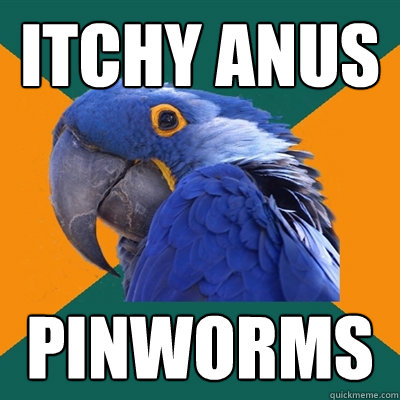 Itchy Anus PINWORMS - Itchy Anus PINWORMS  Paranoid Parrot