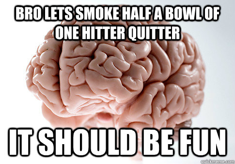 bro lets smoke half a bowl of one hitter quitter it should be fun - bro lets smoke half a bowl of one hitter quitter it should be fun  Scumbag Brain