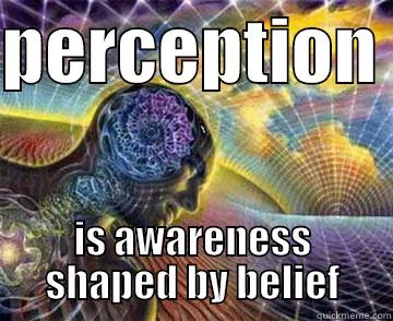 PERCEPTION  IS AWARENESS SHAPED BY BELIEF Misc