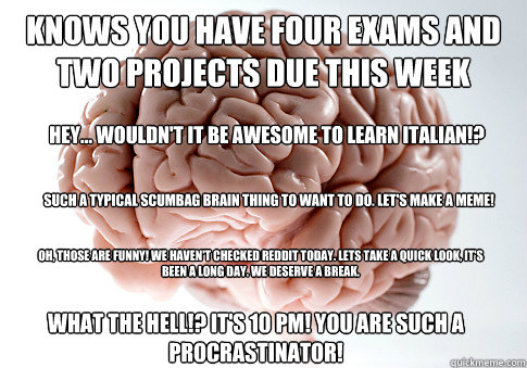 Knows you have four exams and two projects due this week Hey... Wouldn't it be awesome to Learn italian!? Such a typical scumbag brain thing to want to do. Let's make a meme! Oh, those are funny! We Haven't checked reddit today. Lets take a quick look, it  Scumbag Brain