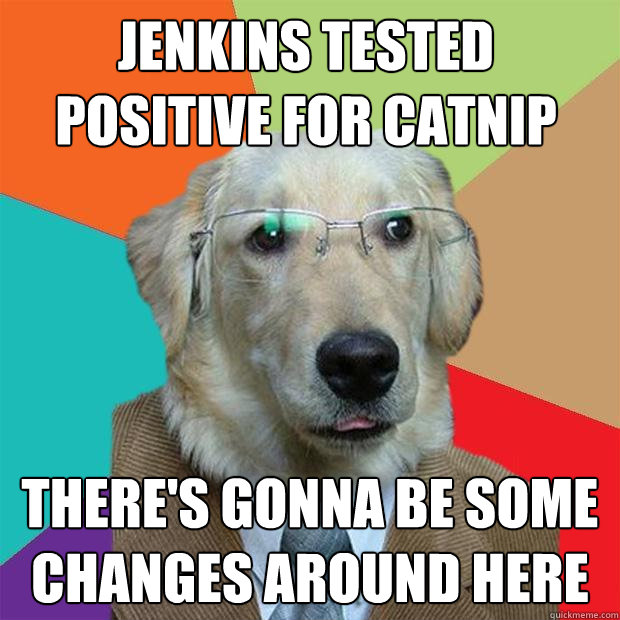 Jenkins tested positive for catnip There's gonna be some changes around here  Business Dog