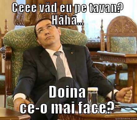 ceeee vad eu pe tavan - CEEE VĂD EU PE TAVAN? HÂHÂ... DOINA CE-O MAI FACE? Misc