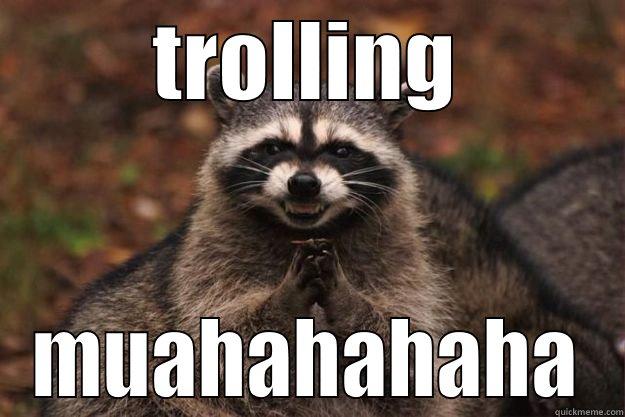 TROLLING MUAHAHAHAHA Evil Plotting Raccoon