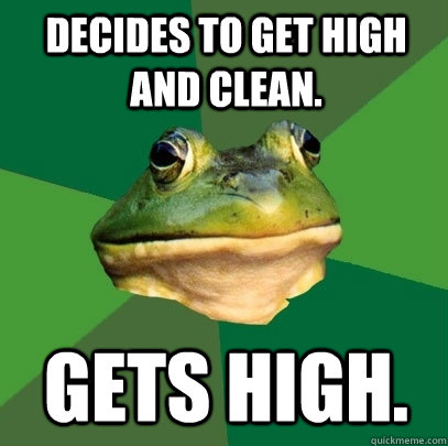 Decides to get high and clean. Gets high.  Foul Bachelor Frog