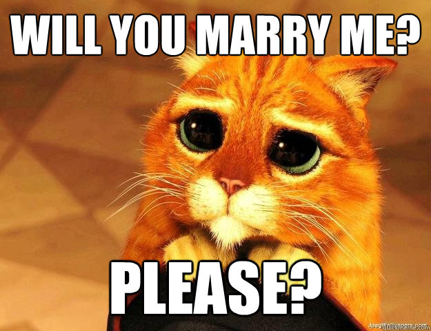 Will You Marry Me Please Puss Quickmeme