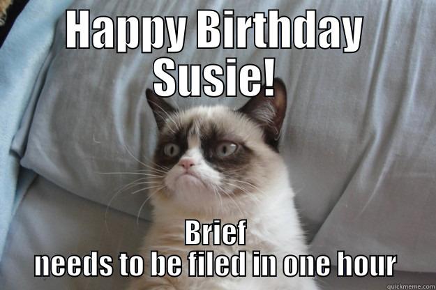 HAPPY BIRTHDAY SUSIE! BRIEF NEEDS TO BE FILED IN ONE HOUR Grumpy Cat