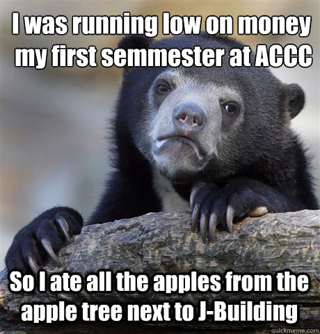 I was running low on money 
 my first semmester at ACCC So I ate all the apples from the apple tree next to J-Building  Confession Bear