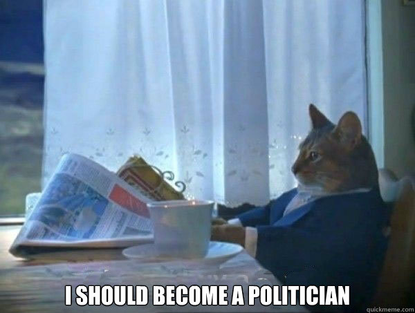  I Should become a politician  morning realization newspaper cat meme