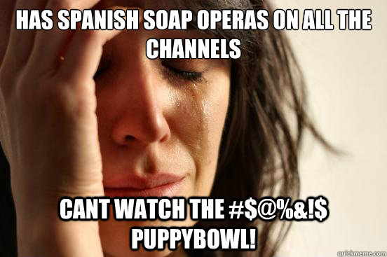 Has Spanish soap operas on all the channels cant watch the #$@%&!$ puppybowl!  First World Problems