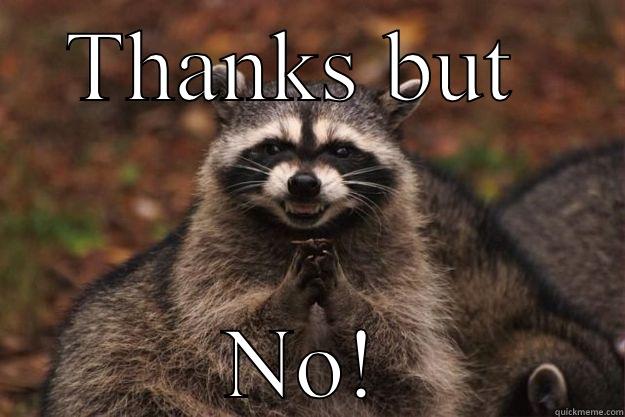 THANKS BUT  NO! Evil Plotting Raccoon