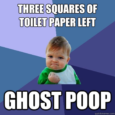 Three squares of toilet paper left ghost poop - Three squares of toilet paper left ghost poop  Success Kid