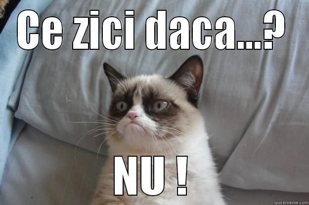 CE ZICI DACA...? NU ! Grumpy Cat