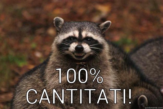  100% CANTITATI! Evil Plotting Raccoon