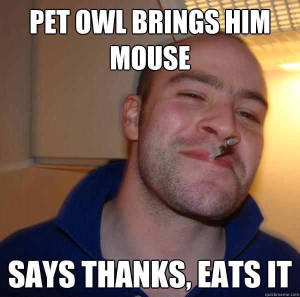 pet owl brings him mouse says thanks, eats it - pet owl brings him mouse says thanks, eats it  Misc