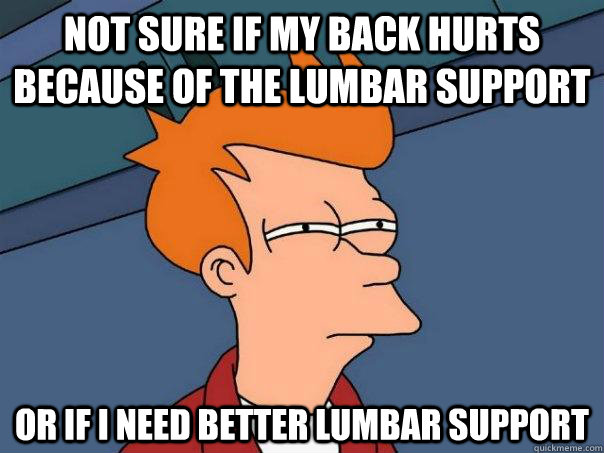 Not sure if my back hurts because of the lumbar support or if I need better lumbar support - Not sure if my back hurts because of the lumbar support or if I need better lumbar support  Futurama Fry