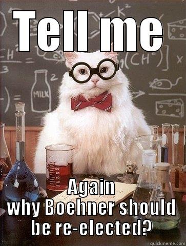 Damn it! - TELL ME AGAIN WHY BOEHNER SHOULD BE RE-ELECTED? Chemistry Cat