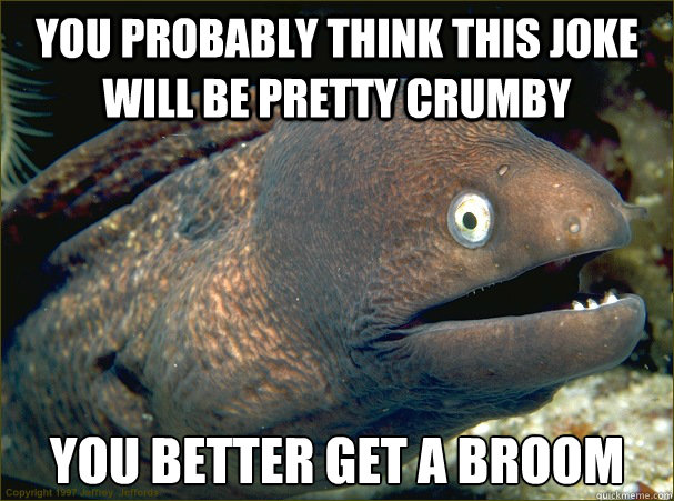 you probably think this joke will be pretty crumby you better get a broom  Bad Joke Eel