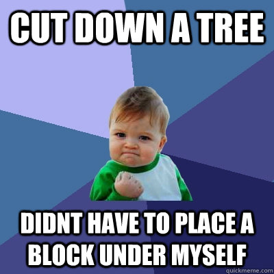 cut down a tree didnt have to place a block under myself  Success Kid