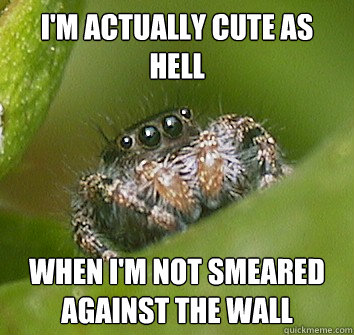 i'm actually cute as hell when i'm not smeared against the wall - i'm actually cute as hell when i'm not smeared against the wall  Misunderstood Spider