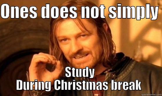 ONES DOES NOT SIMPLY  STUDY DURING CHRISTMAS BREAK  Boromir