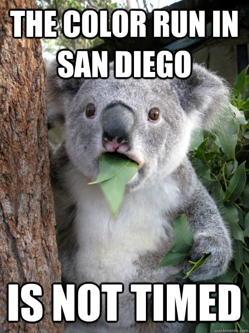 The Color Run in San Diego Is Not Timed  Surprised Koala