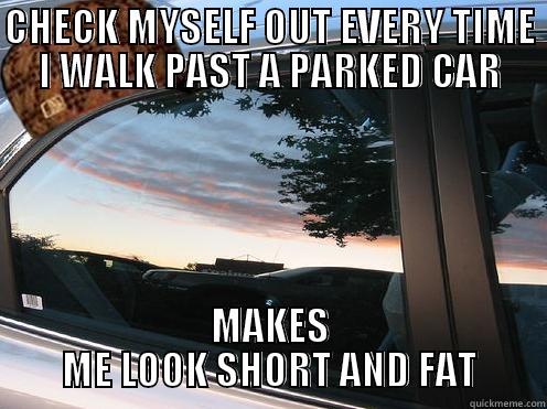 CHECK MYSELF OUT EVERY TIME I WALK PAST A PARKED CAR MAKES ME LOOK SHORT AND FAT Misc