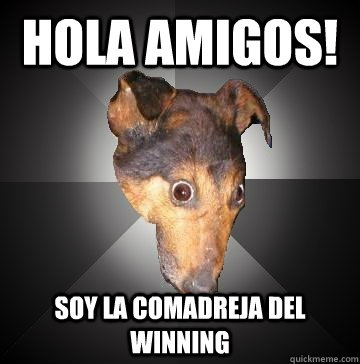 Hola amigos! soy la comadreja del winning  Depression Dog