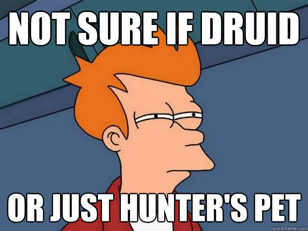 Not sure if Druid Or just hunter's pet  Futurama Fry