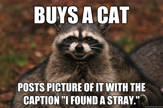 Buys a cat Posts picture of it with the caption 