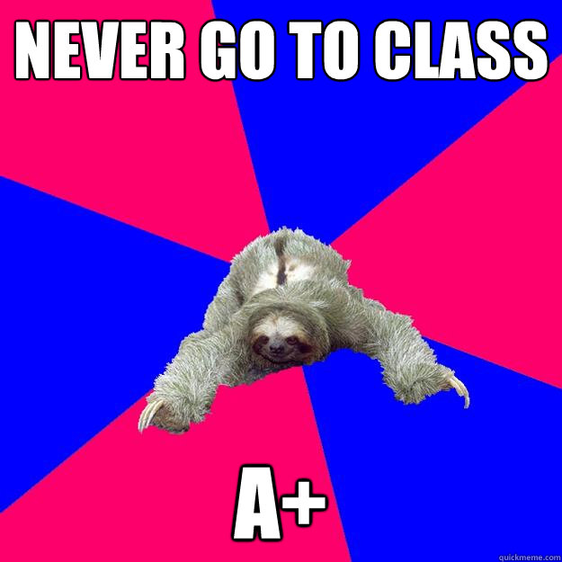 Never go to class A+  Math Major Sloth