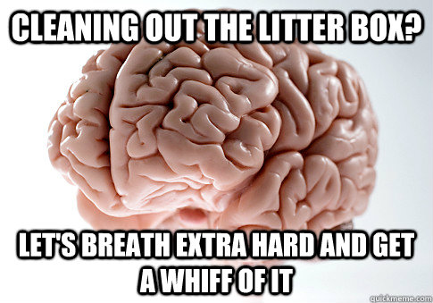 CLEANING OUT THE LITTER BOX? LET'S BREATH EXTRA HARD AND GET A WHIFF OF IT  Scumbag Brain