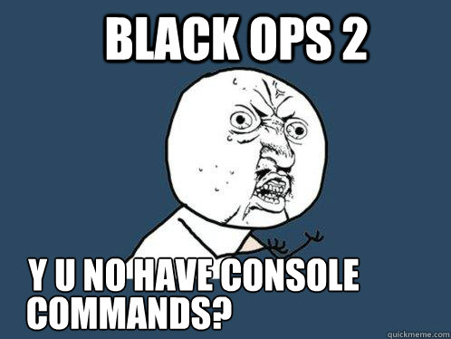 Black Ops 2 y u no have console commands??  Y U No