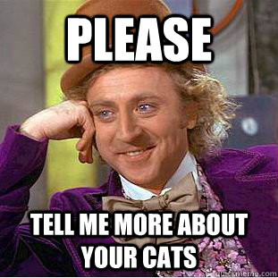 please tell me more about your cats  Condescending Wonka