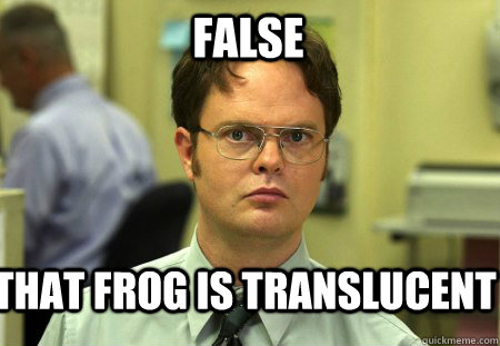 FALSE That frog is translucent  - FALSE That frog is translucent   Schrute