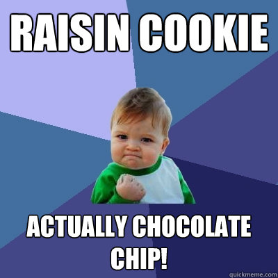 raisin cookie actually chocolate chip! - raisin cookie actually chocolate chip!  Success Kid