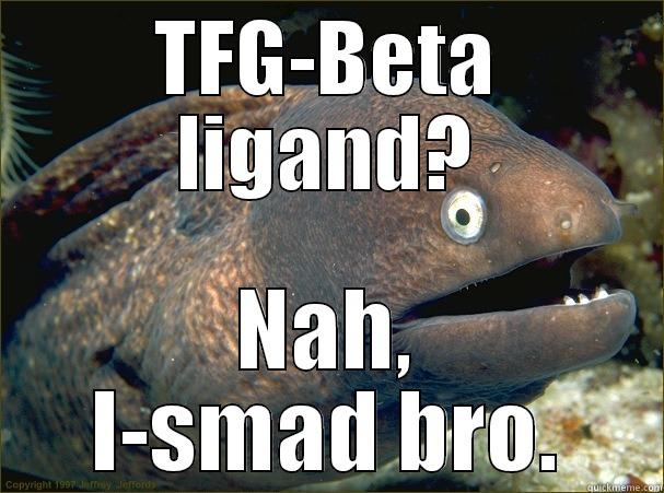 ISMAD lolz. - TFG-BETA LIGAND? NAH, I-SMAD BRO. Bad Joke Eel