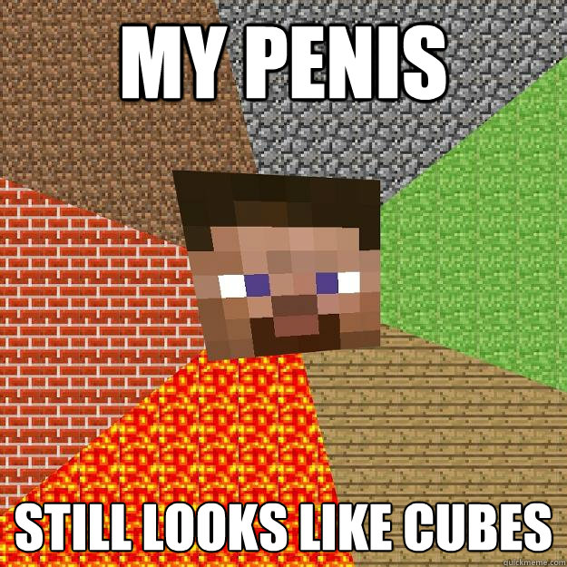 my penis Still looks like cubes  Minecraft