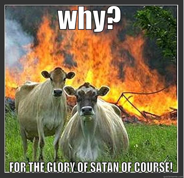 Satan loving cows - WHY? FOR THE GLORY OF SATAN OF COURSE! Evil cows