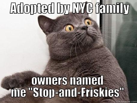     ADOPTED BY NYC FAMILY    OWNERS NAMED ME 