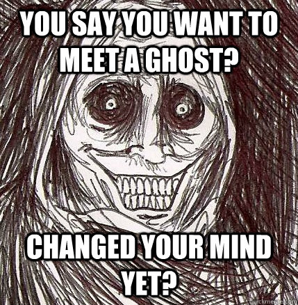 you say you want to meet a ghost? changed your mind yet?  Horrifying Houseguest