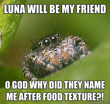 luna will be my friend o god why did they name me after food texture?!  Misunderstood Spider