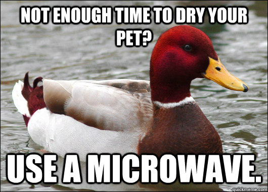 Not enough time to dry your pet? Use a microwave.  Malicious Advice Mallard